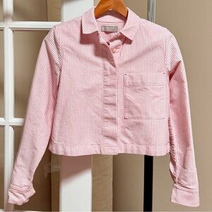 Everlane Pink Striped Organic Cotton Shirket